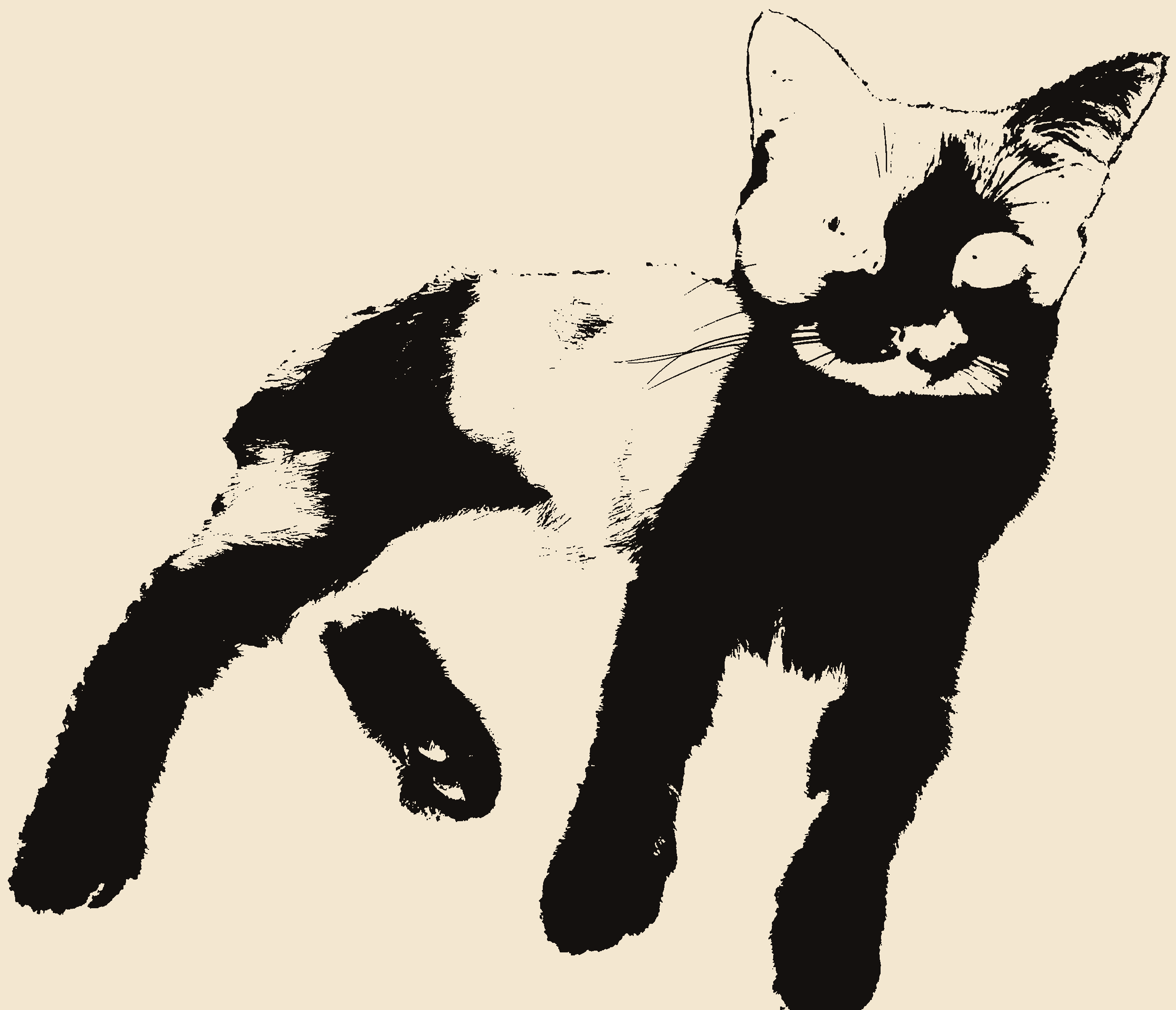 Dax the Calico — Purrfect Stencils mascot